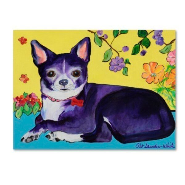 Pat Saunders-White 'Meelah' Canvas Art, 24x32, Trademark Fine Art, Mfr#: PS183-C2432GG